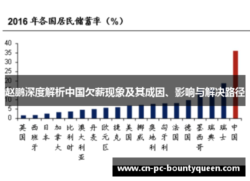 赵鹏深度解析中国欠薪现象及其成因、影响与解决路径 赵鹏深度解析中国欠薪现象及其成因、影响与解决路径