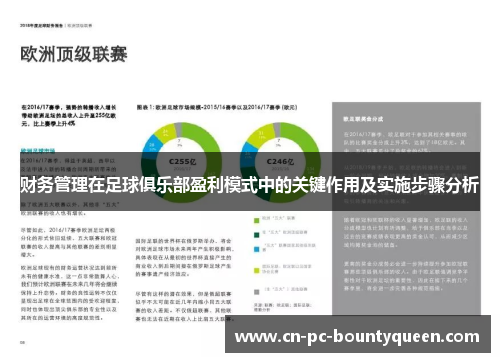 财务管理在足球俱乐部盈利模式中的关键作用及实施步骤分析