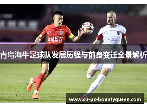 青岛海牛足球队发展历程与前身变迁全景解析