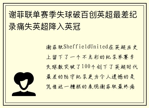 谢菲联单赛季失球破百创英超最差纪录痛失英超降入英冠 谢菲联单赛季失球破百创英超最差纪录痛失英超降入英冠